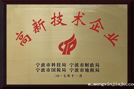 宁波市高新技术企业